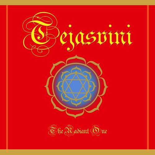 Tejasvini by Bhanumathi Narasimhan Books